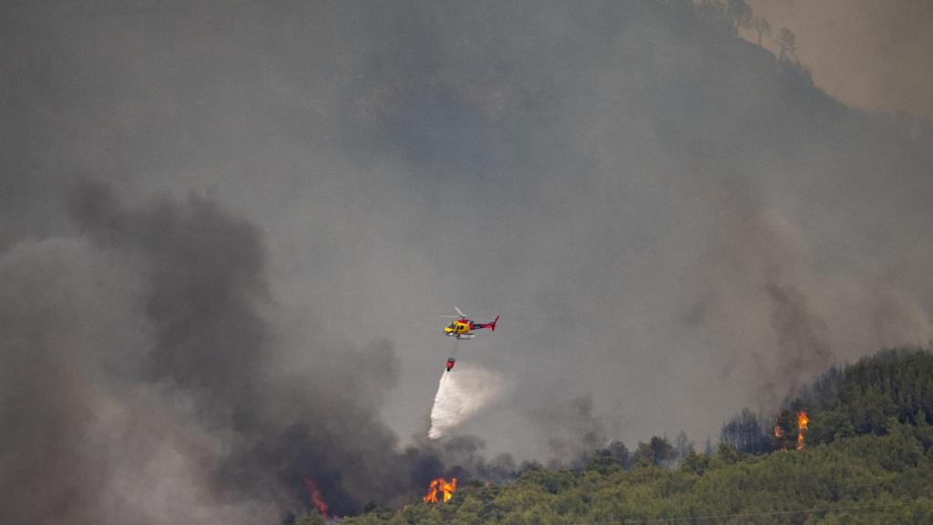 Incendio forestal del 17 de julio en Barcelona.