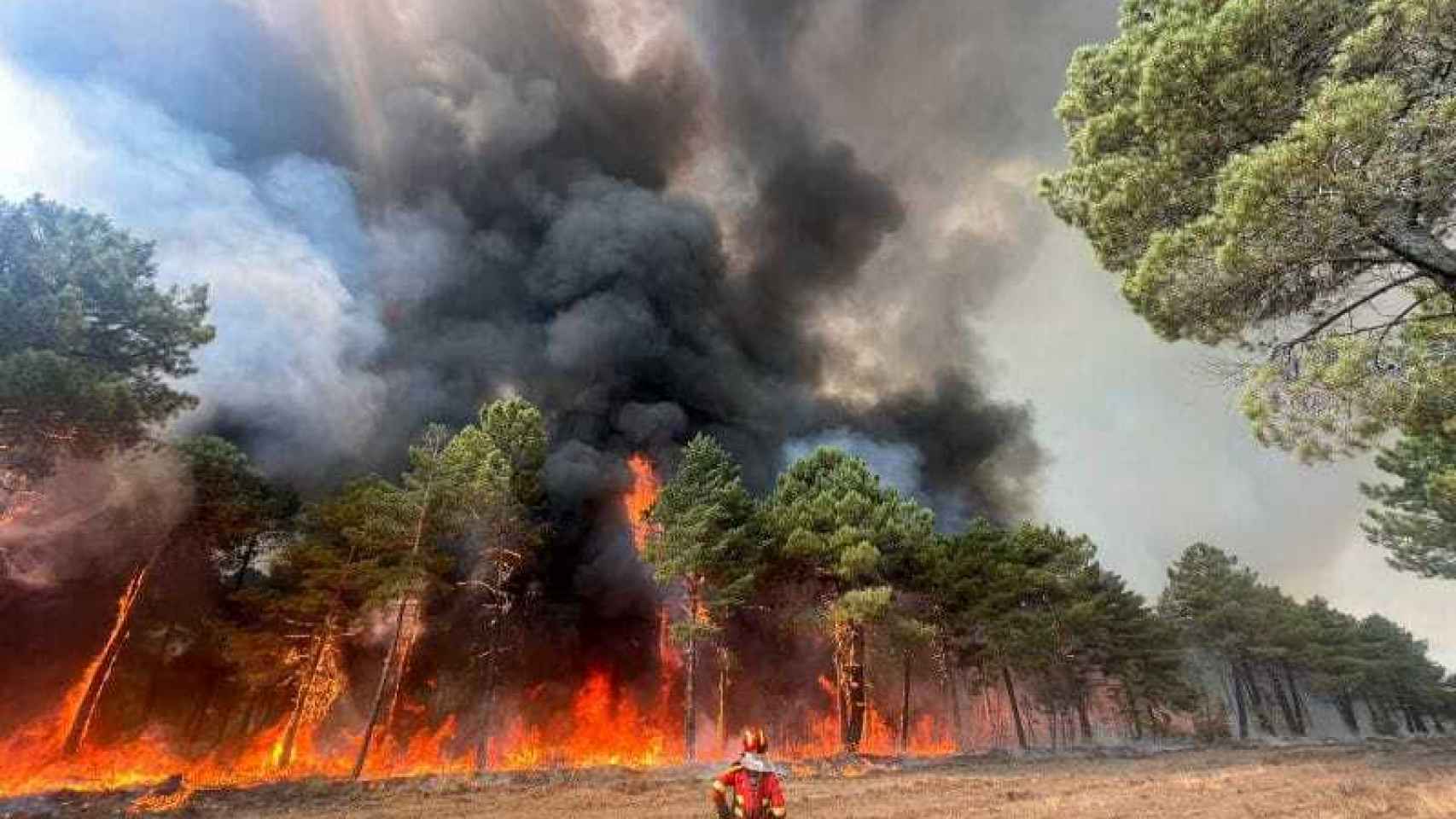Un miembro de la UME trabaja sobre el incendio forestal de Castilla y León.