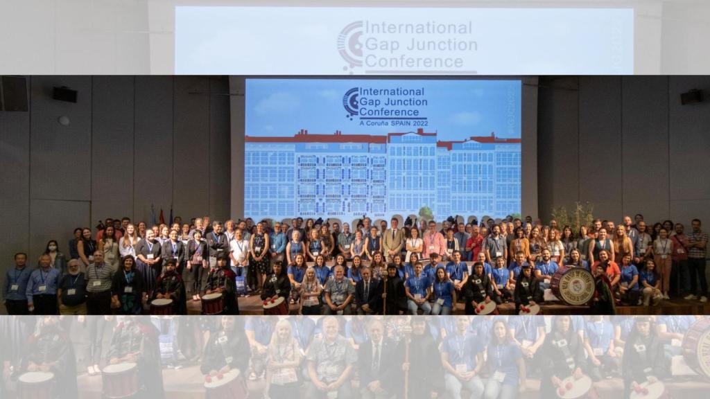 A Coruña, primera sede española del congreso ‘International Gap Junction Conference’
