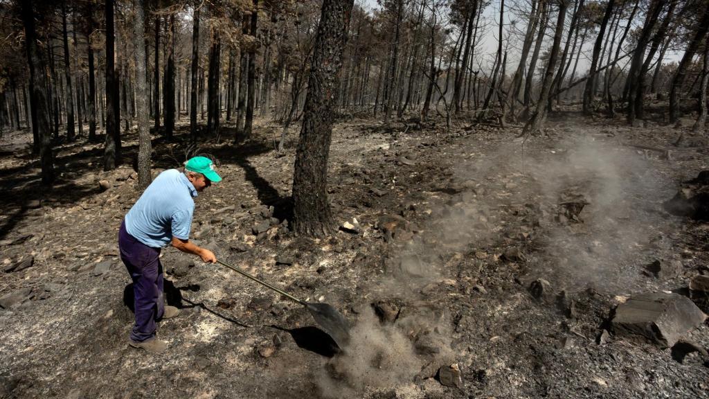 Un voluntario intenta evitar que las llamas se reproduzcan en el incendio que azotá El Maíllo del #IFMonsagro