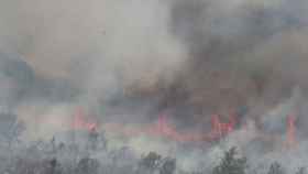 Imagen del incendio de Losacio.