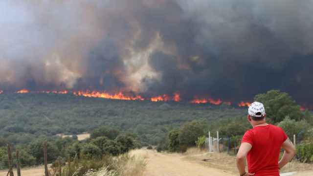 Incendio en la provincia de Zamora