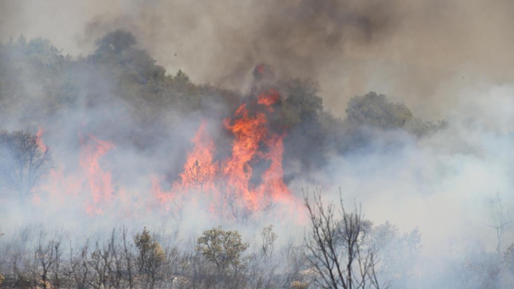 Incendio en la provincia de Zamora