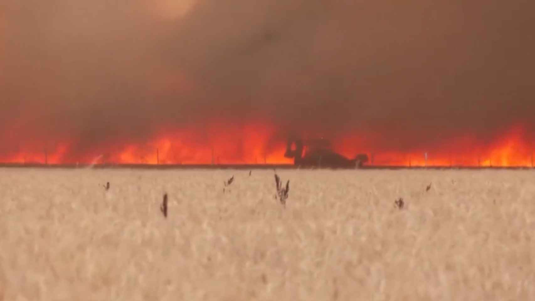 Engullido por las llamas en Tábara: el dramático vídeo del bombero que ha sido ingresado en estado crítico