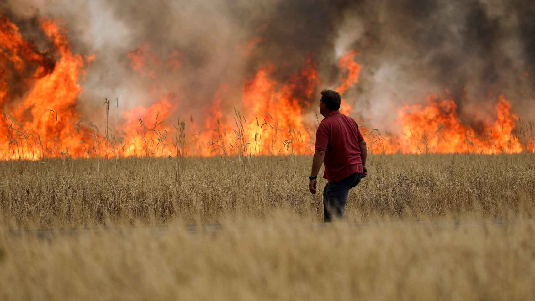 Incendio entre Tabara y Losacio, en Zamora, a 18 de julio de 2022.