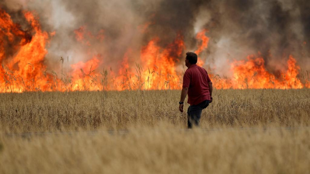 Imagen archivo. Incendio entre Tabara y Losacio, en Zamora, a 18 de julio de 2022.