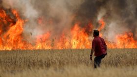 Incendio entre Tabara y Losacio, en Zamora, a 18 de julio de 2022.
