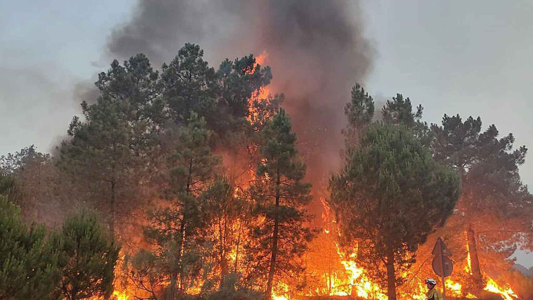 Incendio forestal en El Hoyo de Pinares.