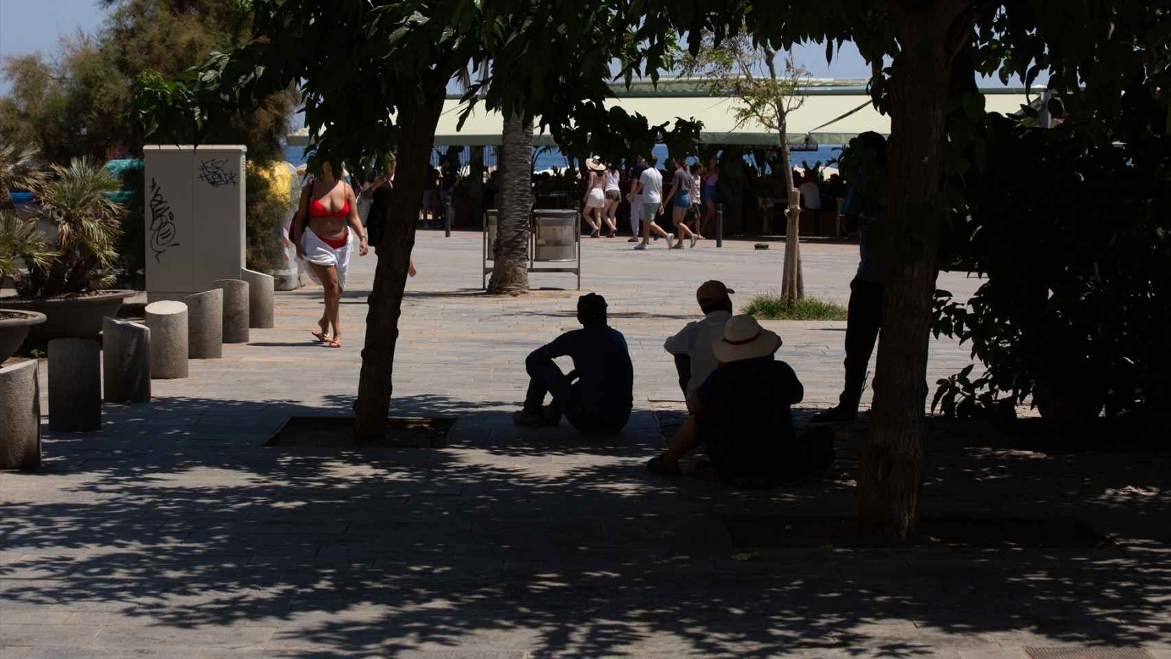 Varias personas se protegen del sol bajo  la sombra de unos árboles.