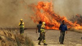 Bomberos de las Brigadas de Refuerzo en Incendios Forestales (BRIF) combaten un incendio en un campo de trigo en Tabara, Zamora, en la segunda ola de calor del año, en España, el 18 de julio de 2022.