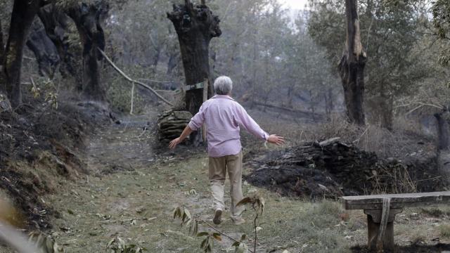 En imágenes: Los incendios calcinan 19.000 hectáreas en Galicia