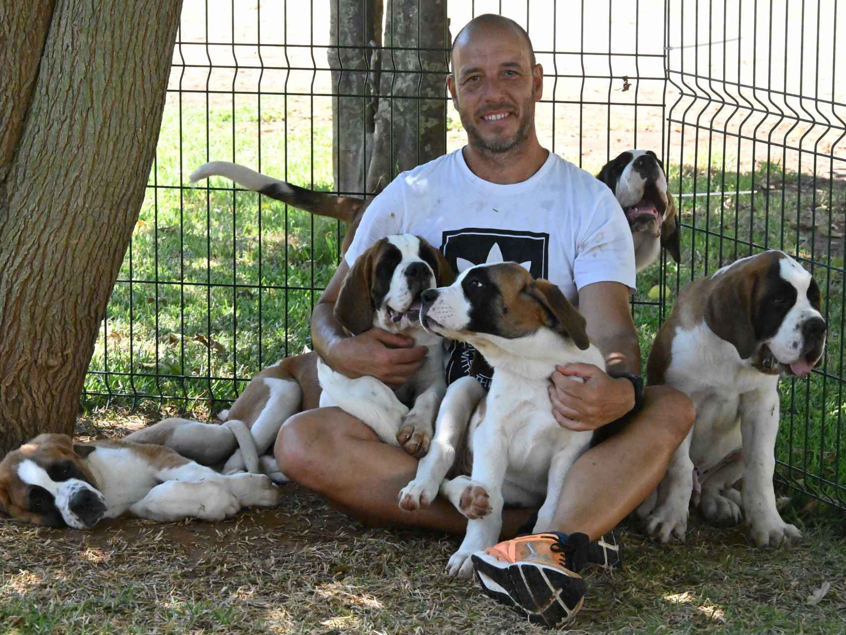 Joaquín, con los cinco cachorros de San Bernardo.