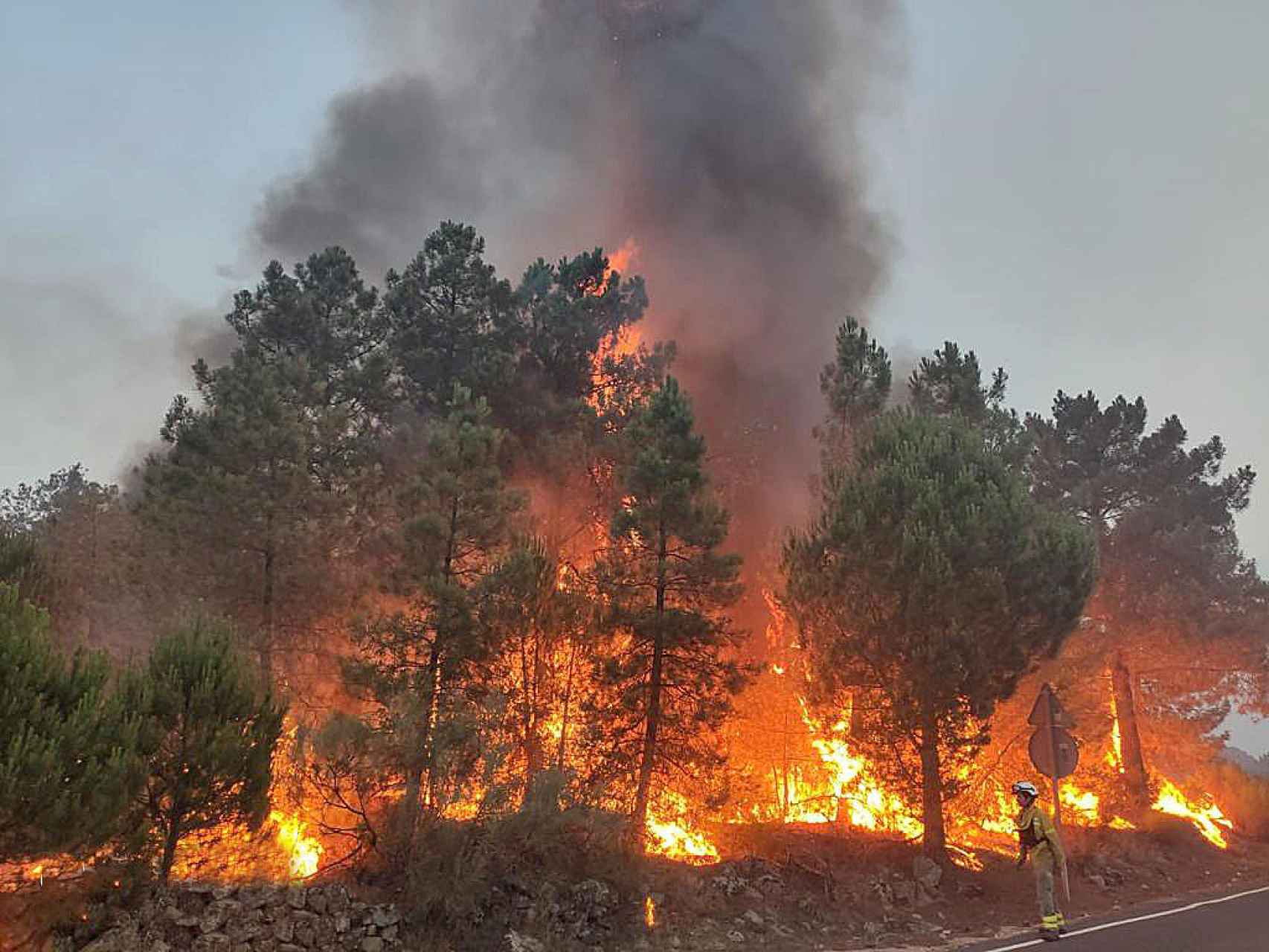 Imagen del incendio de Cebreros.