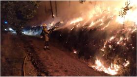 Bombero forestal en los incendios que asolan Galicia: A recuperación levará moitísimos anos