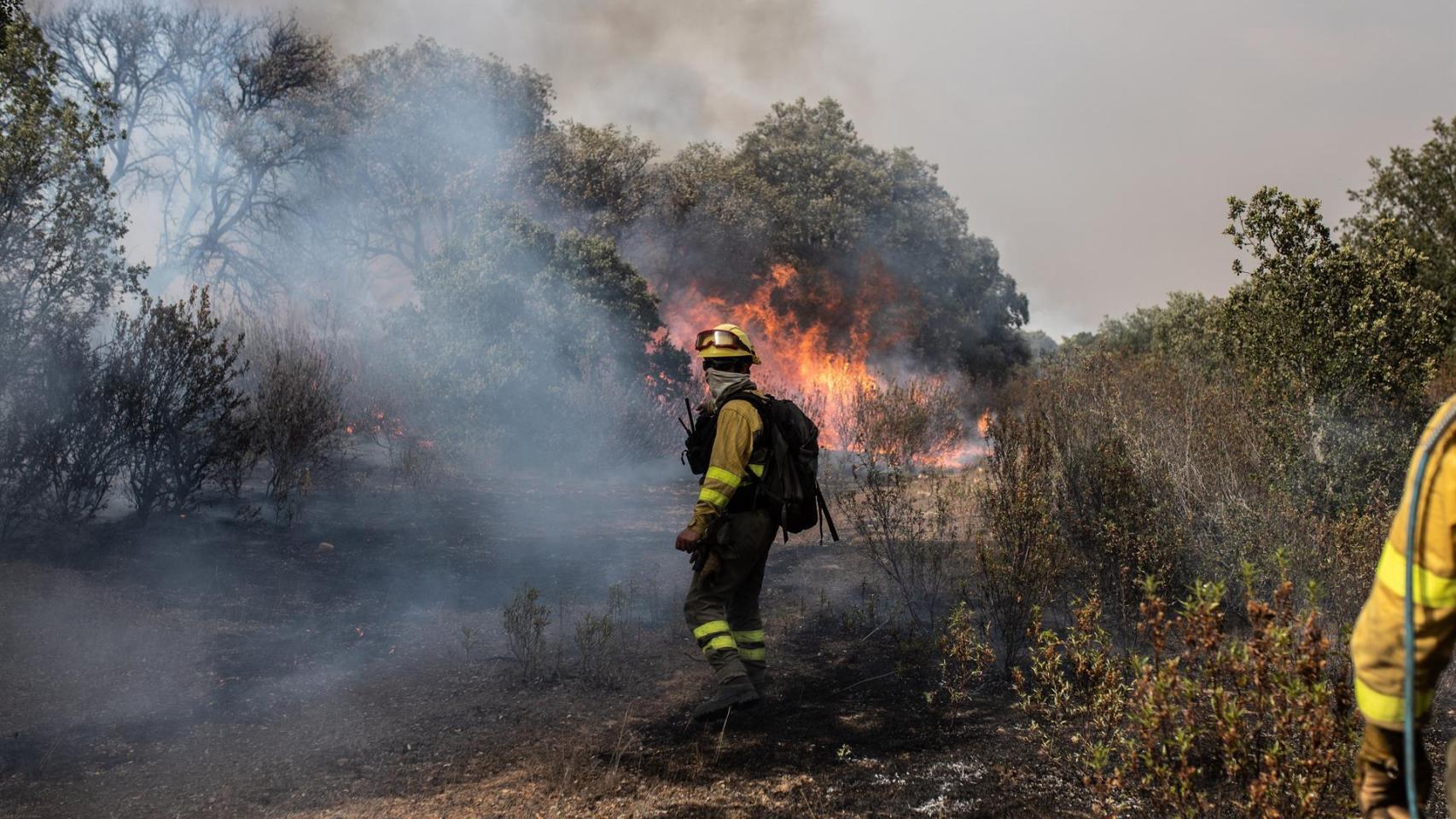 Varios bomberos trabajan en la extinción del fuego del incendio de Losacio, en Zamora