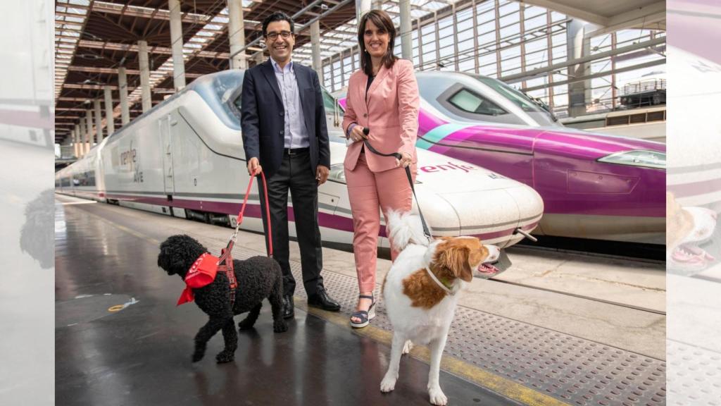 Renfe estudia permitir que perros de hasta 40 kilos puedan viajar en sus trenes