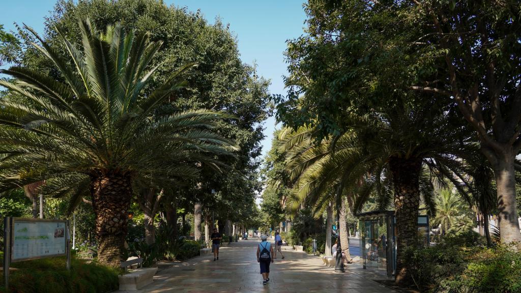 Toda la arboleda filtra bastante los ruidos y el calor.