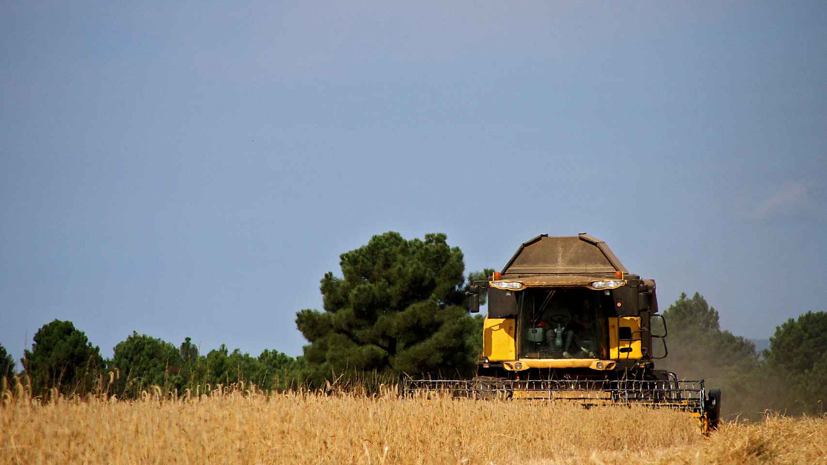 Una cosechadora atraviesa un campo de cereal.