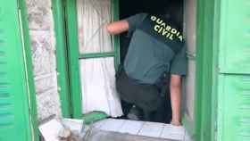 La Guardia Civil rescata a una camada de cachorros border collie en un domicilio en El Hoyo de Pinares