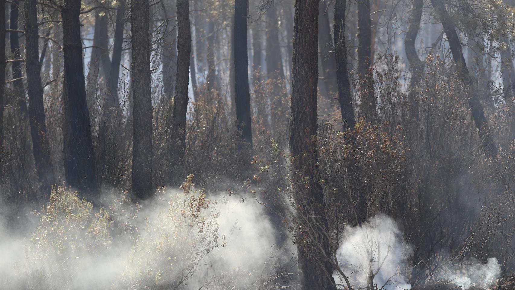 El incendio a la altura de Tábara