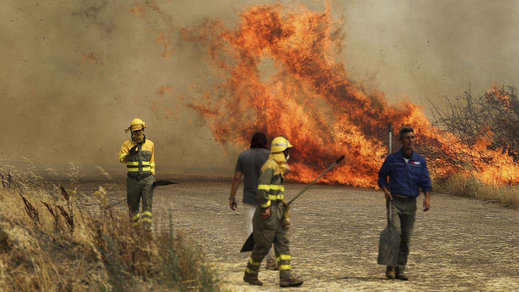 La Brigada de Refuerzo en Incendios Forestales (BRIF) durante la extinción de un fuego declarado en un campo de trigo en Tabara, Zamora