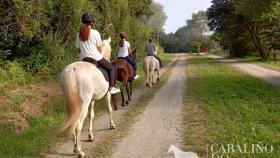 Rutas a caballo: la nueva opción de ocio en Valdoviño (A Coruña) de la mano de Cabaliño do Lago