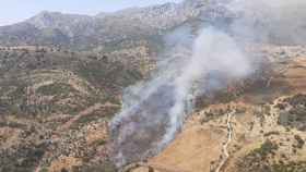 Imagen del incendio declarado en Cortes de la Frontera.