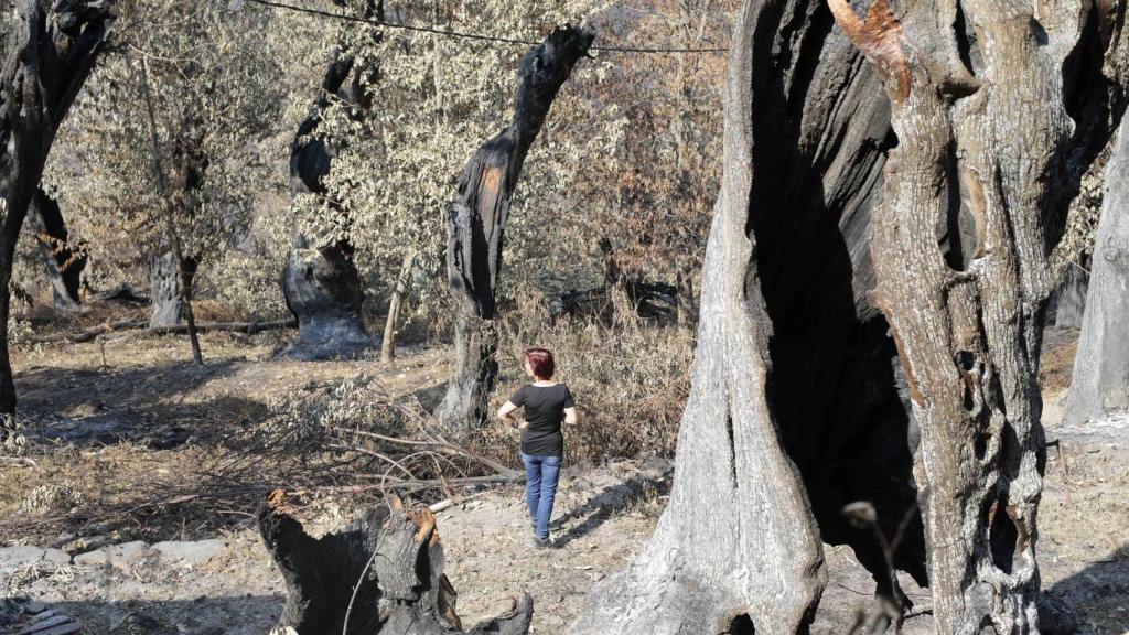 Voluntarios observan los daños causados en la Sierra do Courel por los incendios.