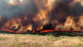 Incendio forestal en Vegalatrave (Zamora)