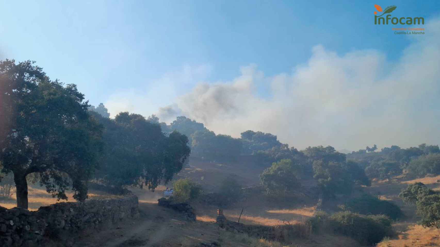 Incendio forestal en Castillo de Bayuela (Toledo). Foto: Plan INFOCAM.