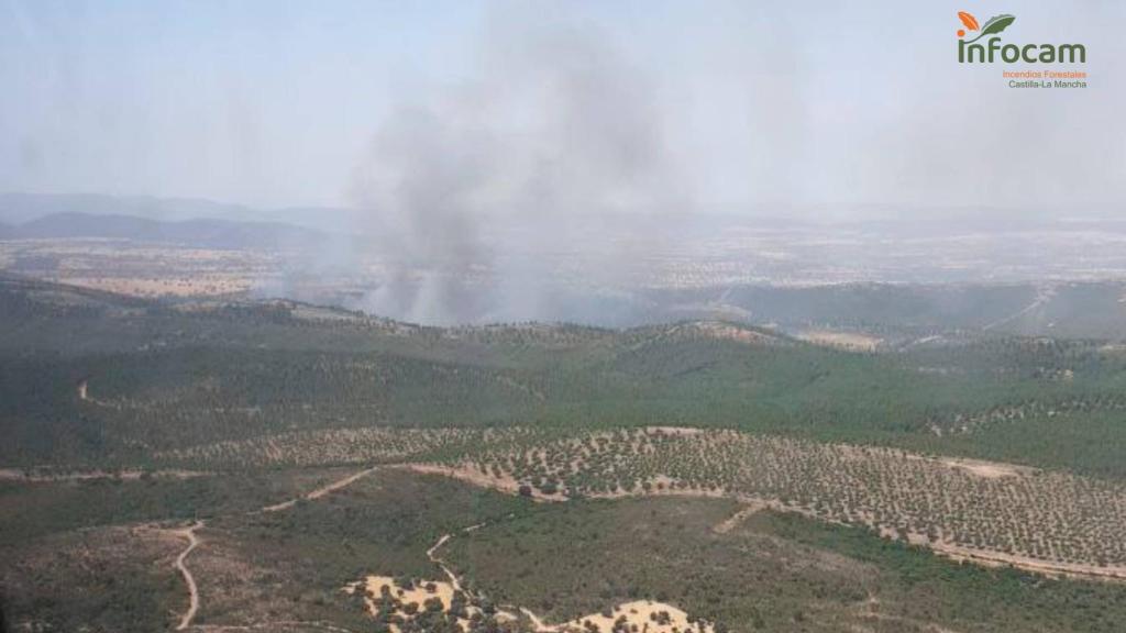 Incendio en Malagón (Ciudad Real). Foto: Plan INFOCAM.