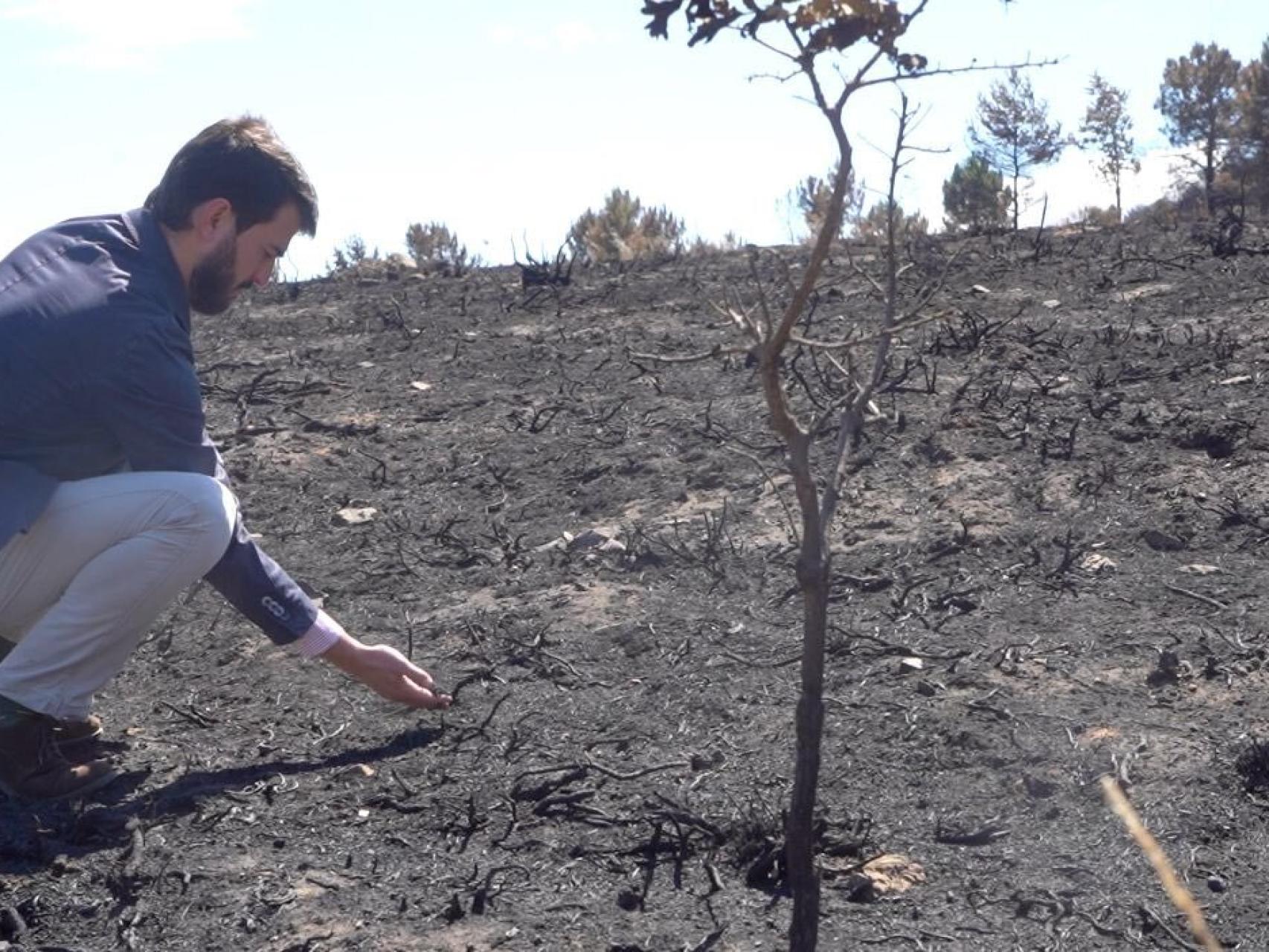 El vicepresidente de la Junta, Juan García-Gallardo, durante su visita a la Sierra de la Culebra, en Zamora, el pasado 25 de junio.