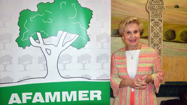 Carmen Quintanilla, presidenta nacional de Afammer.