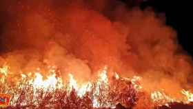 Incendio forestal de Sartajada (Toledo). Foto: Consorcio de Bomberos de Toledo.