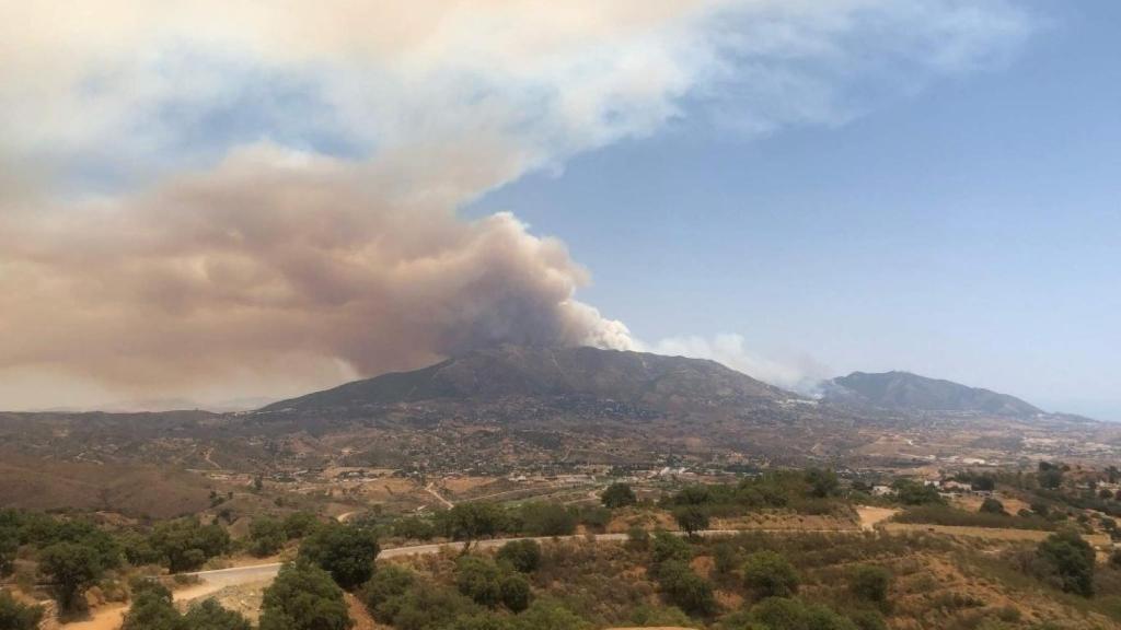 Imagen del incendio forestal en Benahavís.