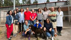 Leer el microchip de mascotas muertas en vías públicas, obligatorio en Galicia desde enero