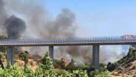 Una imagen del incendio en Benahavís.