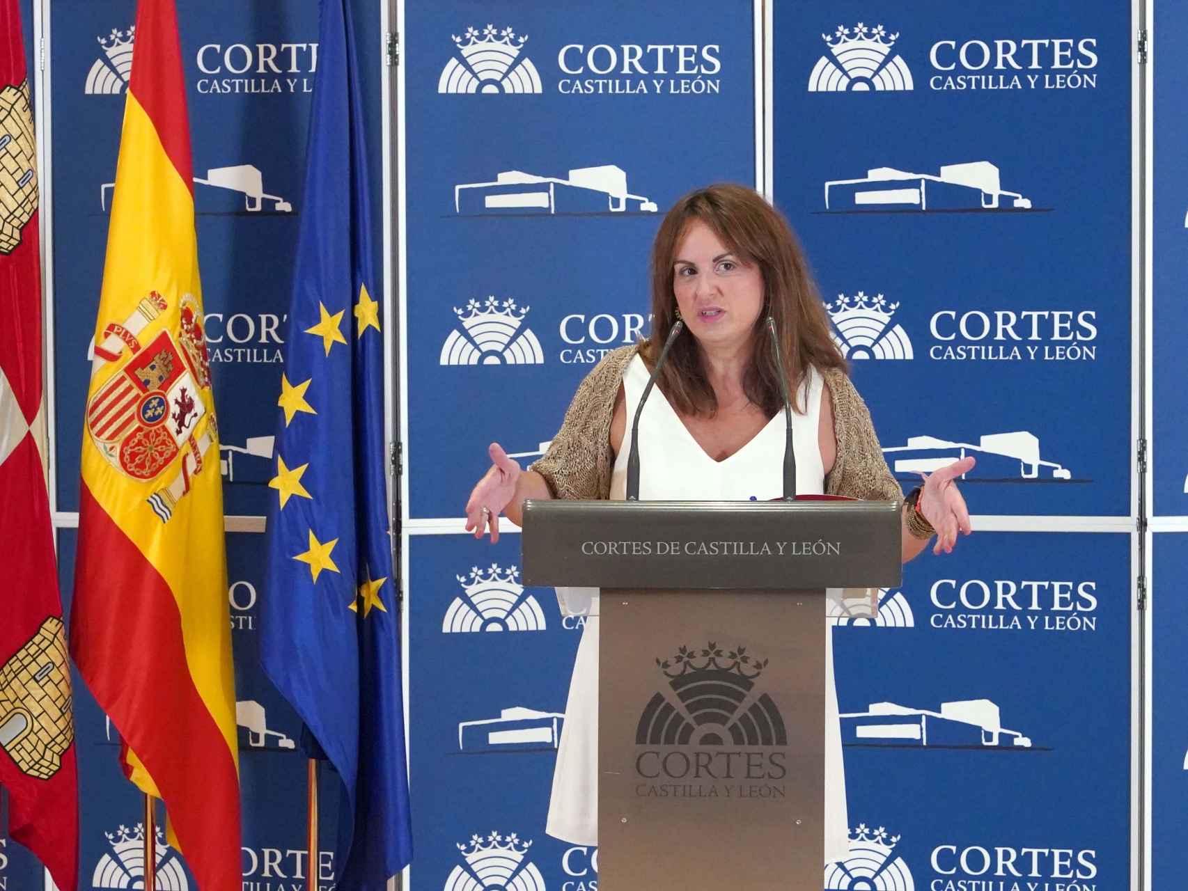 La viceportavoz del Grupo Socialista en las Cortes, Patricia Gómez Urbán, durante la rueda de prensa de este jueves.