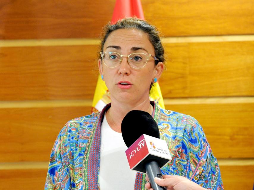 La consejera de Movilidad, María González, durante su comparecencia de este viernes.