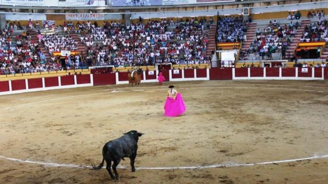 Iscar anuncia festejos taurinos para sus fiestas