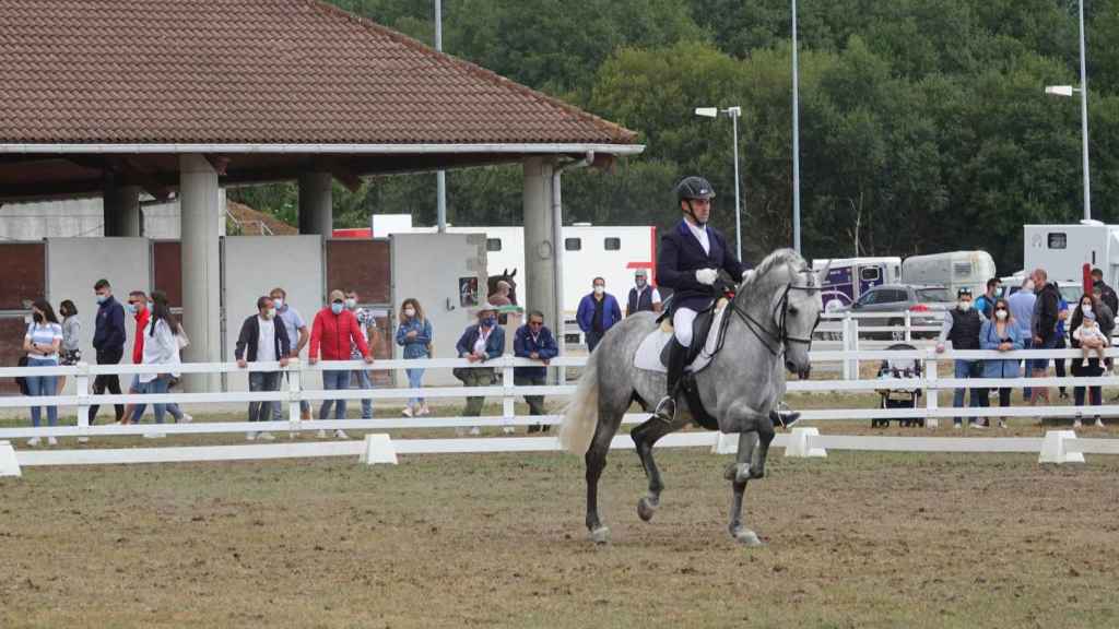 Participante en el Campeonato de España Pura Raza Española en Equina Galicia 2021.