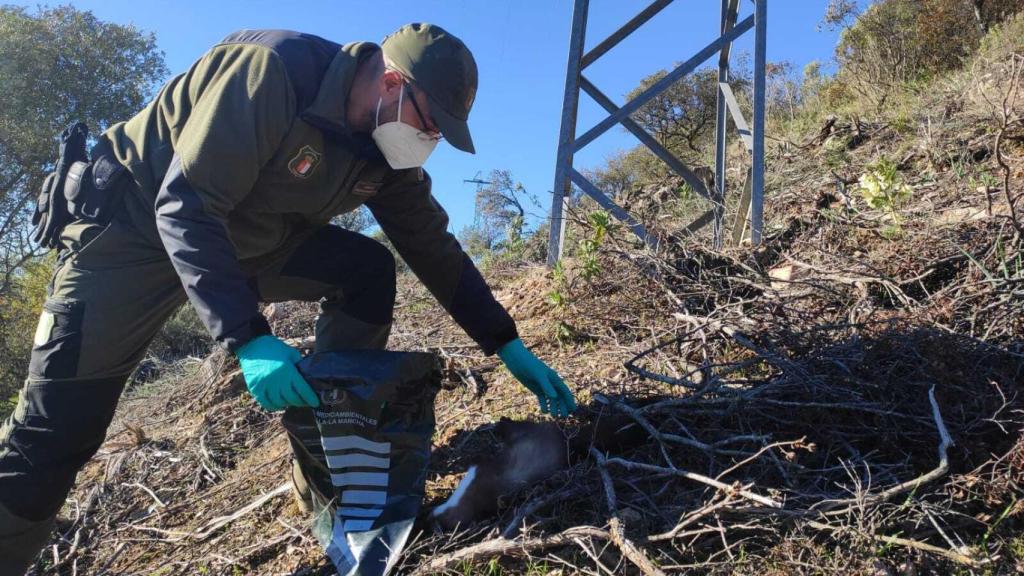 Agente forestal. Foto: UGT Castilla-La Mancha