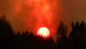Incendio en Mafra (Portugal) el día 31 de julio de 2022.