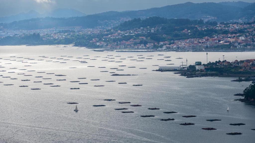 Bateas en el estuario de la ría de Vigo.