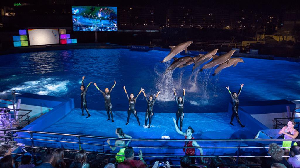 Espectáculo nocturno en el delfinario del Oceanogràfic de Valencia. EE