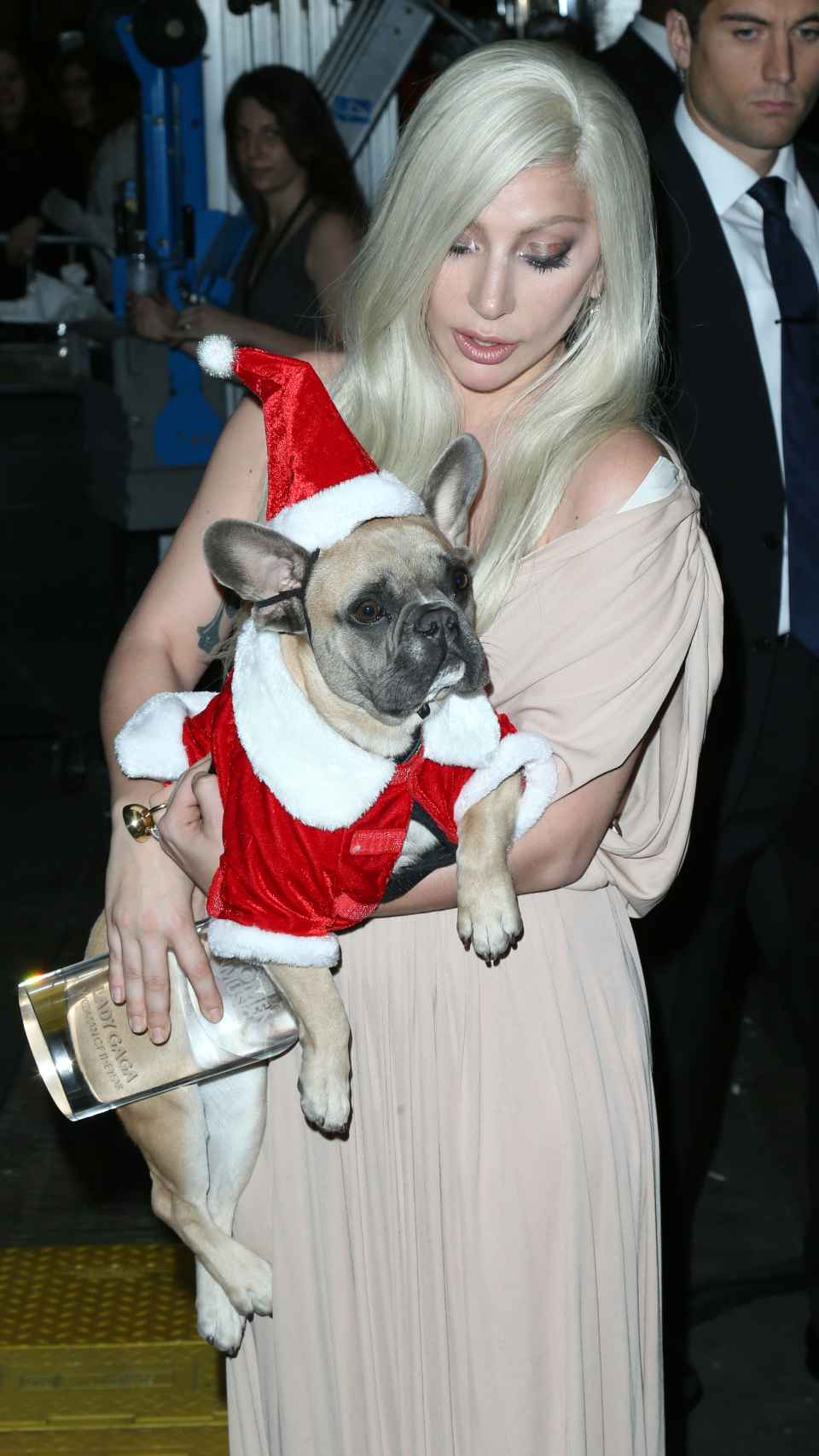 Lady Gaga con uno de sus perros.