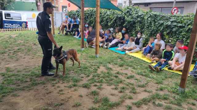 Demostración de habilidades de los perros policía.