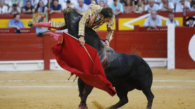 Aparatosa cogida de José Tomás en el tercero de la tarde en Alicante.