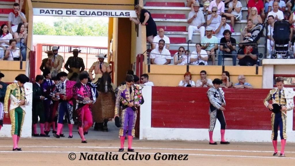 Novillada en las Fiestas de Íscar