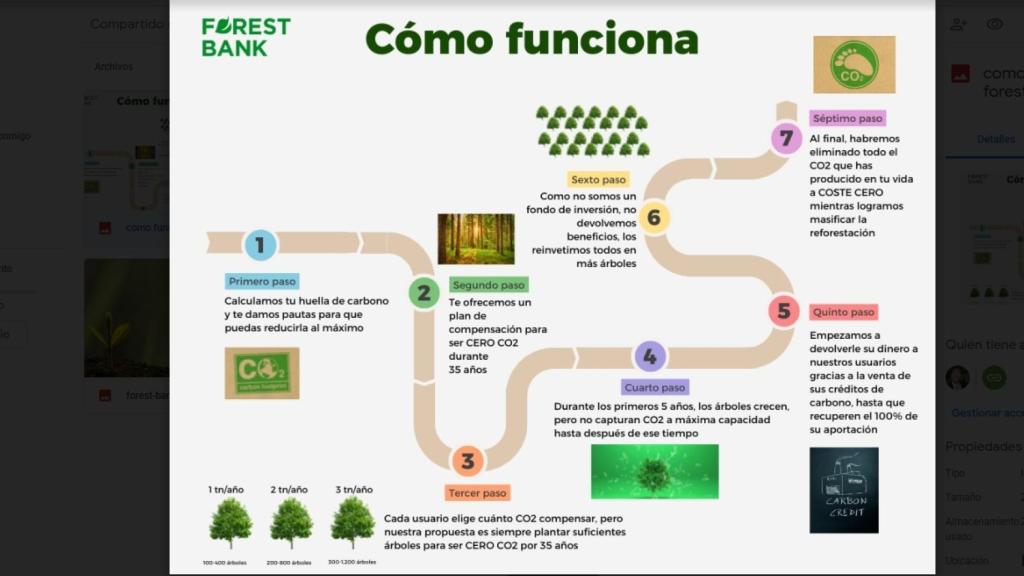 Gráfico explicativo sobre el funcionamiento de la tecnología de Forest Bank.